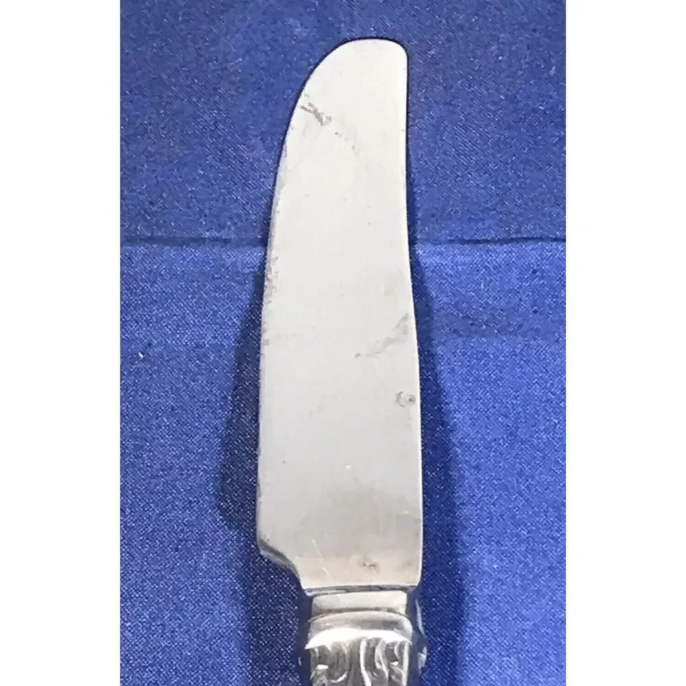 Dinner Knife : Lenox Tudor Bead Stainless Rope Edge Glossy Stainless 9 1/4”